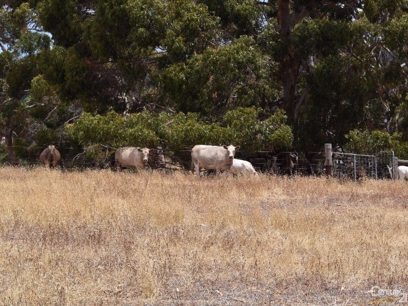 837 Bark Hutt Road, Cassini SA 5223