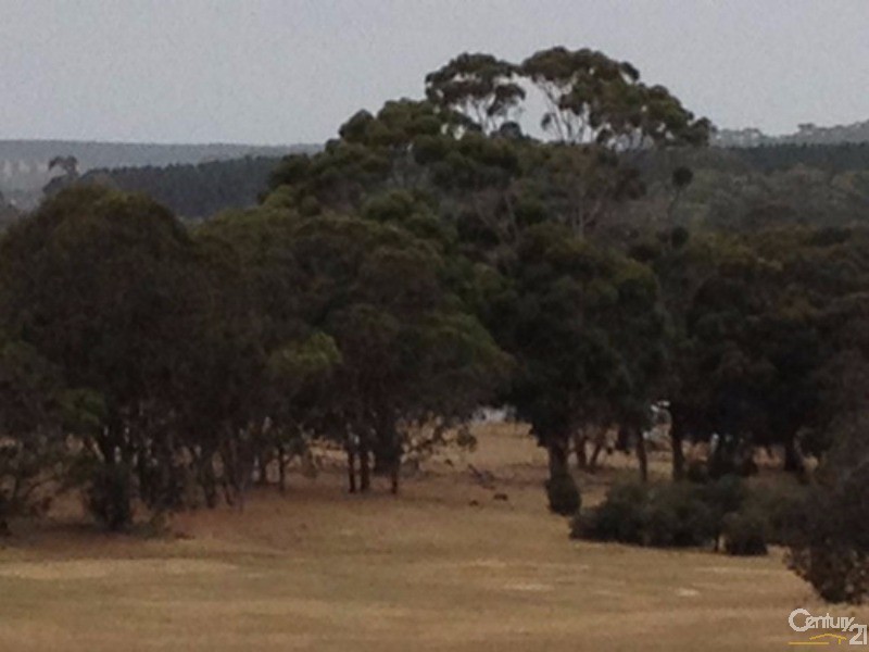 837 Bark Hutt Road, Cassini SA 5223