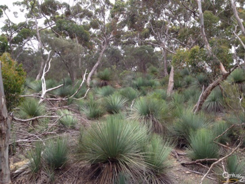 837 Bark Hutt Road, Cassini SA 5223