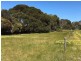 Lot 20 Wild Dog Road, D’estrees Bay SA 5223