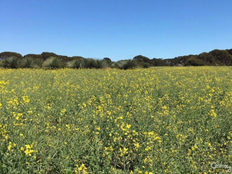 Lot 20 Wild Dog Road, D’estrees Bay SA 5223