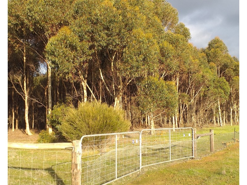 6586 South Coast Road, Karatta SA 5223