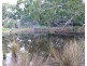6586 South Coast Road, Karatta SA 5223