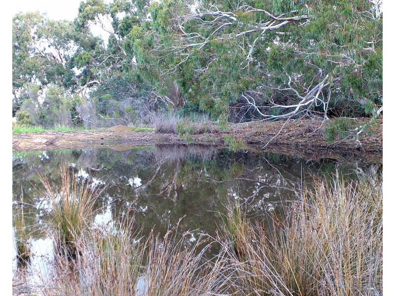 6586 South Coast Road, Karatta SA 5223