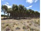 6586 South Coast Road, Karatta SA 5223