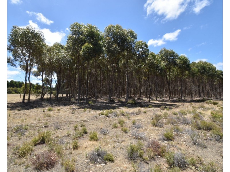 6586 South Coast Road, Karatta SA 5223
