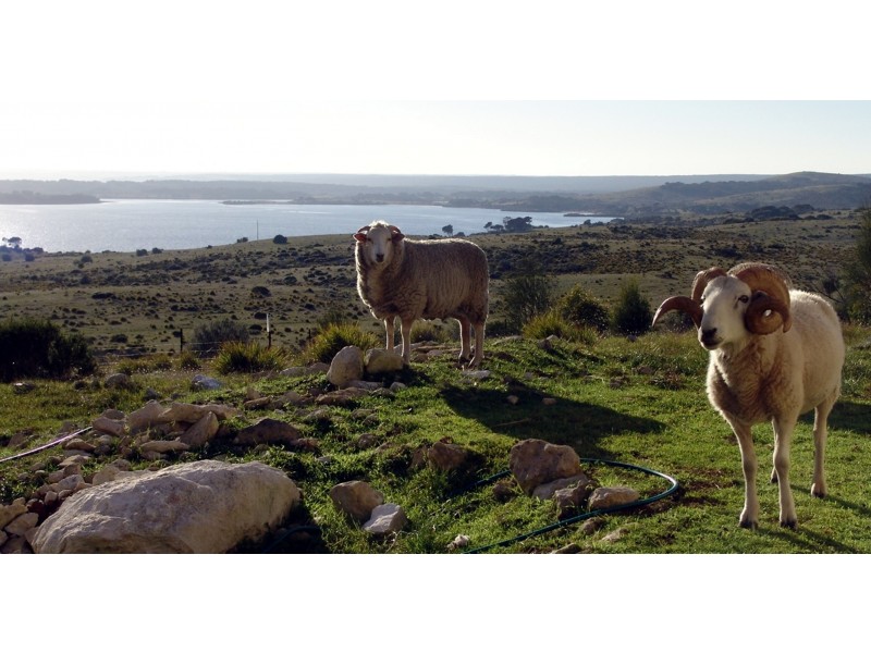 3061 Hog Bay Road, Pelican Lagoon SA 5222