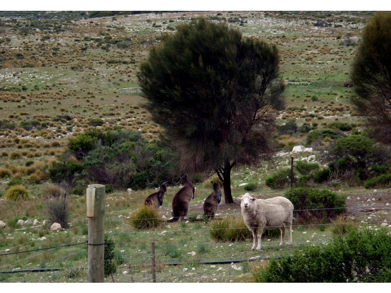 3061 Hog Bay Road, Pelican Lagoon SA 5222