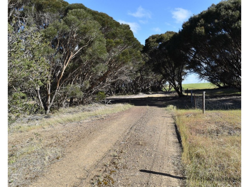 1121 Springs road, Wisanger SA 5223