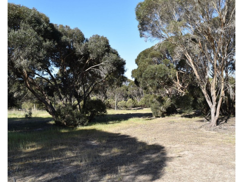 1121 Springs road, Wisanger SA 5223