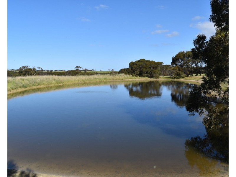 1121 Springs road, Wisanger SA 5223