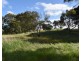 1121 Springs road, Wisanger SA 5223
