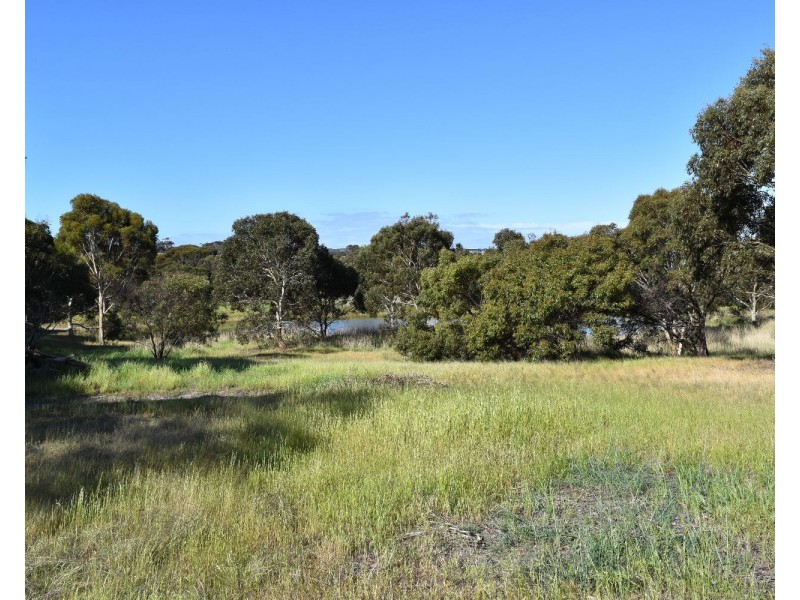1121 Springs road, Wisanger SA 5223
