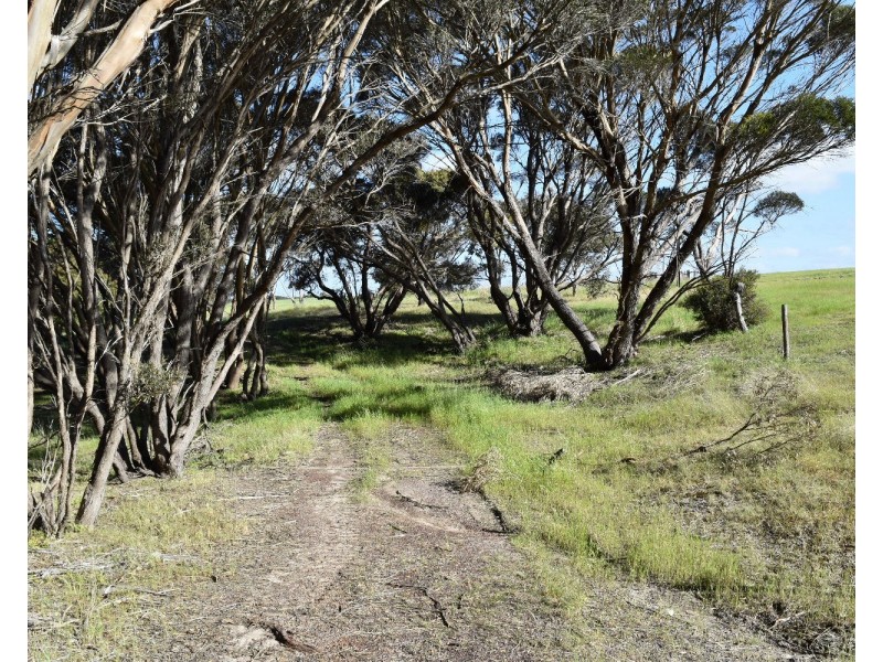 1121 Springs road, Wisanger SA 5223