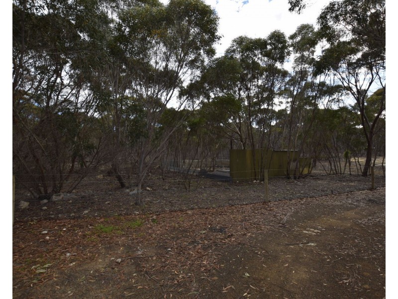142  Rhynne road, Bay Of Shoals SA 5223