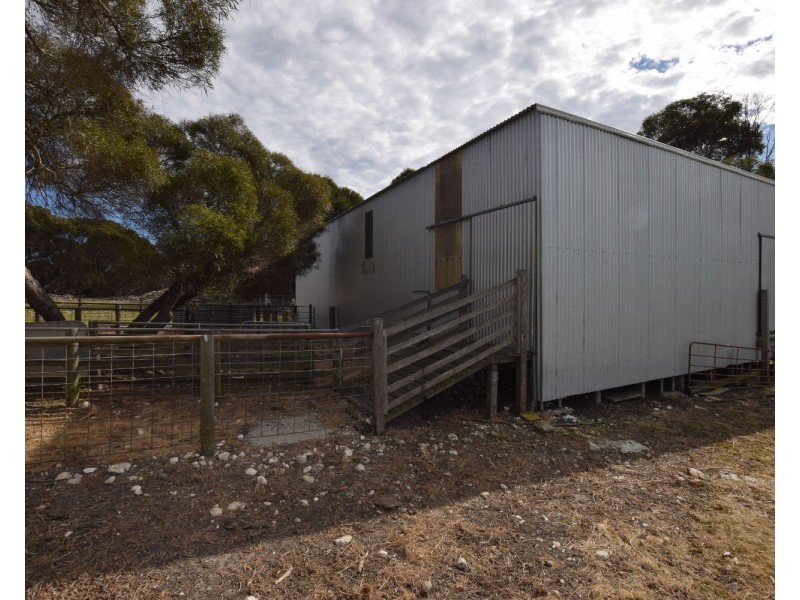 142  Rhynne road, Bay Of Shoals SA 5223