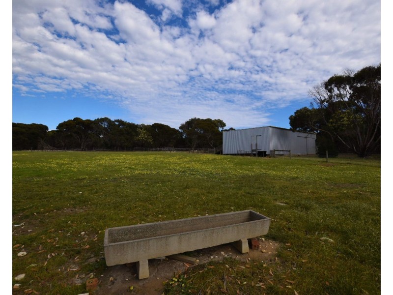 142  Rhynne road, Bay Of Shoals SA 5223