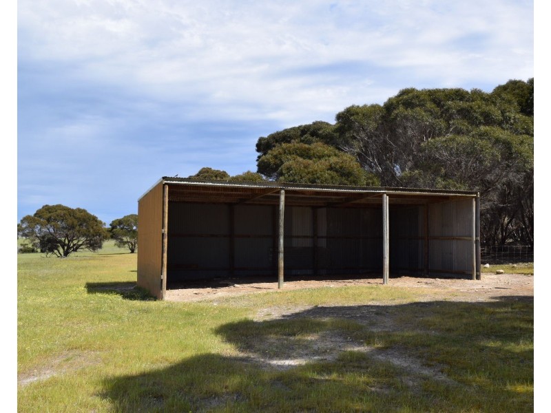 142  Rhynne road, Bay Of Shoals SA 5223
