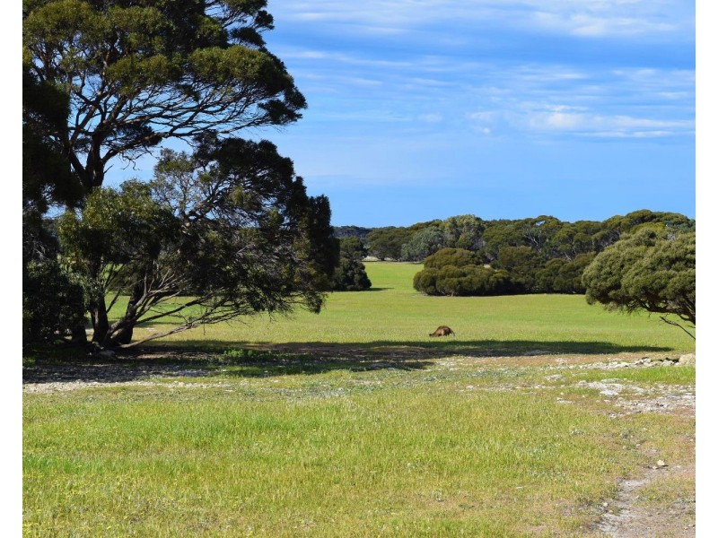 142  Rhynne road, Bay Of Shoals SA 5223