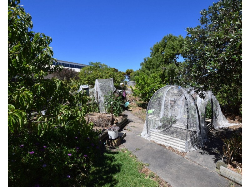 24 Todd Street, Kingscote SA 5223