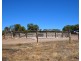 152  Jenkins road, Kohinoor SA 5223