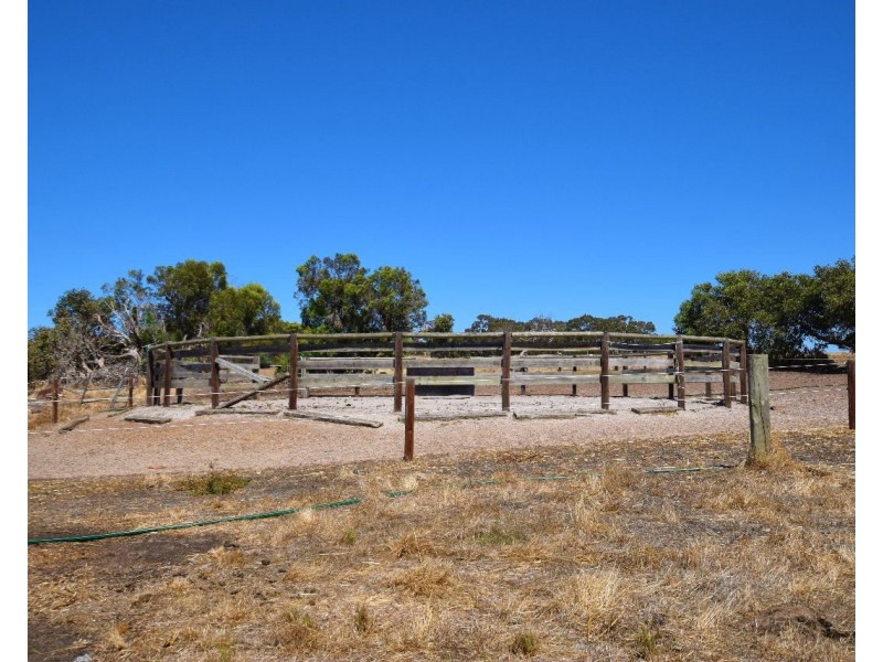 152  Jenkins road, Kohinoor SA 5223