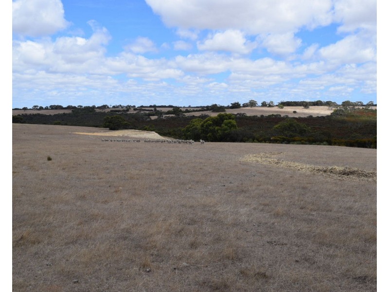 1520 Rowland Hill Highway, Macgillivray SA 5223