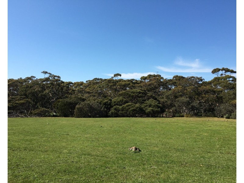 Sec 62 Bark Hutt Road, Cassini SA 5223