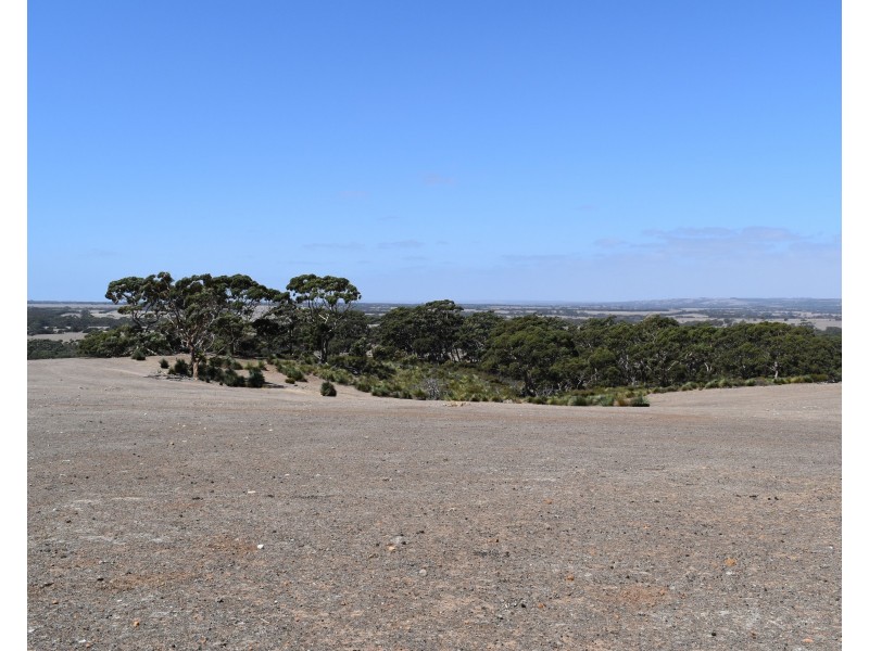 Sec 62 Bark Hutt Road, Cassini SA 5223