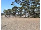 Sec 62 Bark Hutt Road, Cassini SA 5223