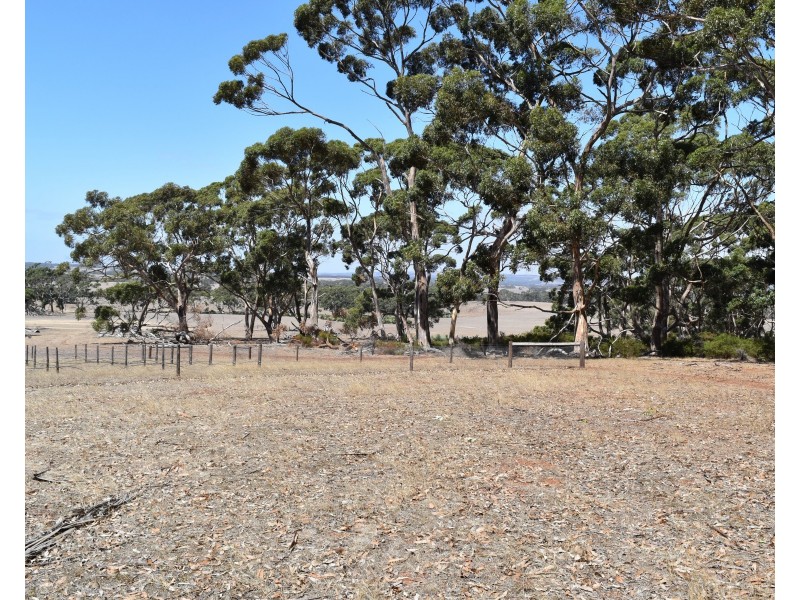 Sec 62 Bark Hutt Road, Cassini SA 5223