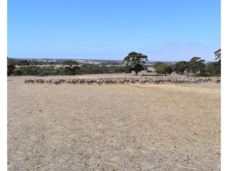 Sec 62 Bark Hutt Road, Cassini SA 5223