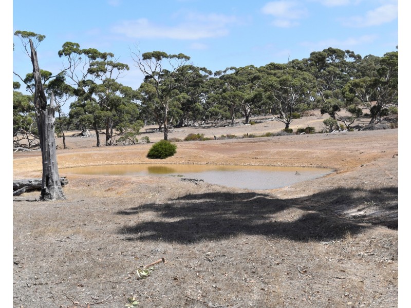 Sec 62 Bark Hutt Road, Cassini SA 5223