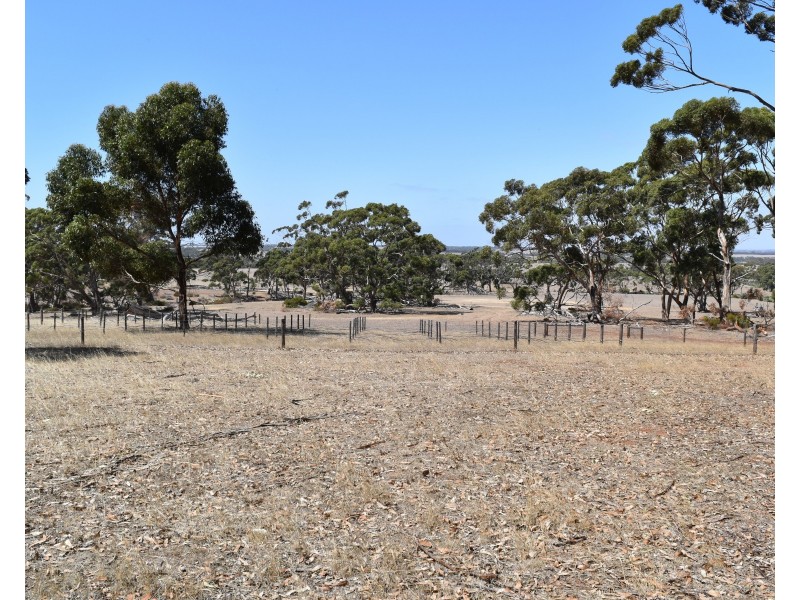 Sec 62 Bark Hutt Road, Cassini SA 5223