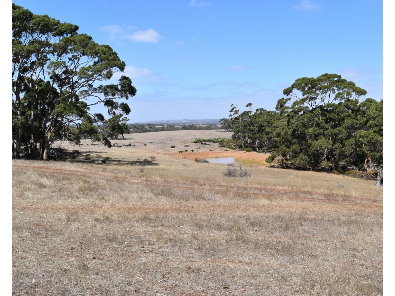 Sec 62 Bark Hutt Road, Cassini SA 5223