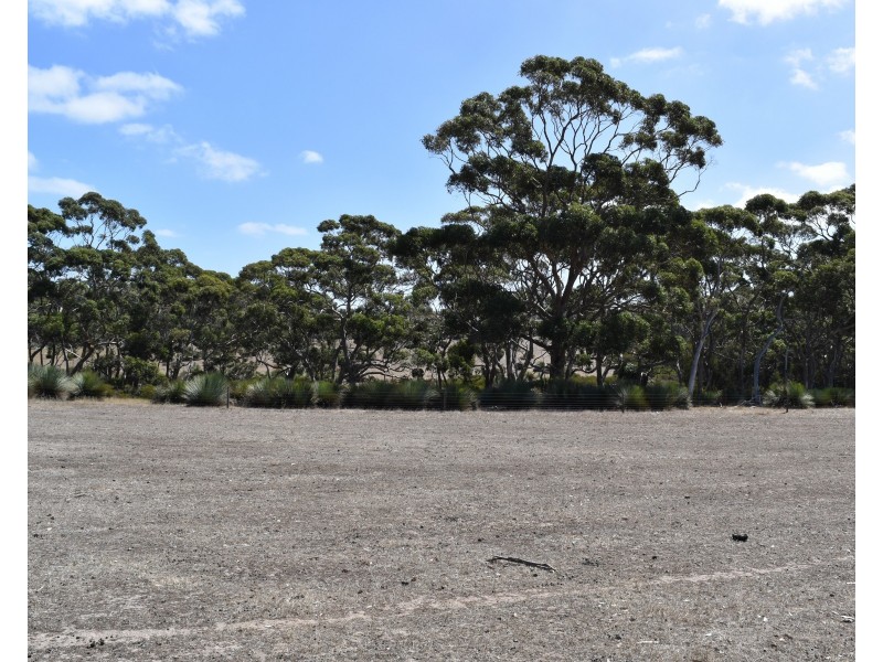 Sec 62 Bark Hutt Road, Cassini SA 5223