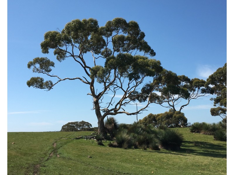 Sec 62 Bark Hutt Road, Cassini SA 5223