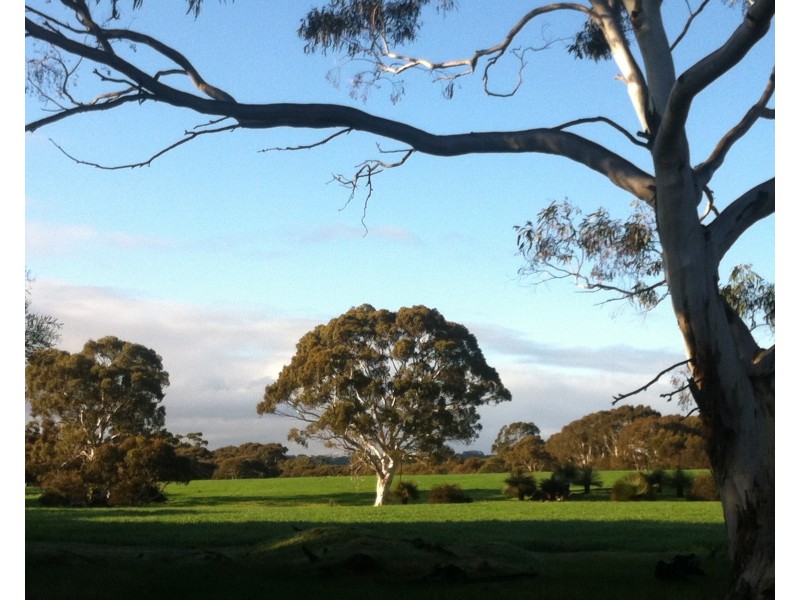 Sec 62 Bark Hutt Road, Cassini SA 5223