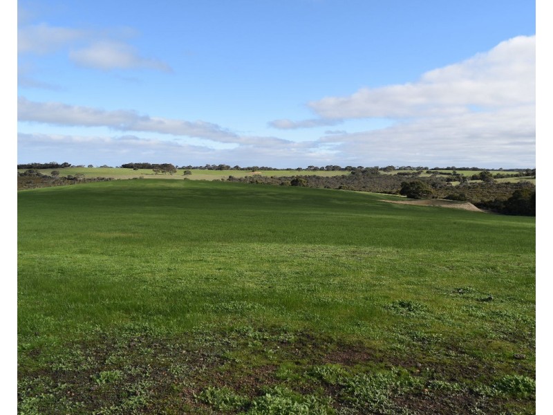 1520 Rowland Hill Highway, Macgillivray SA 5223