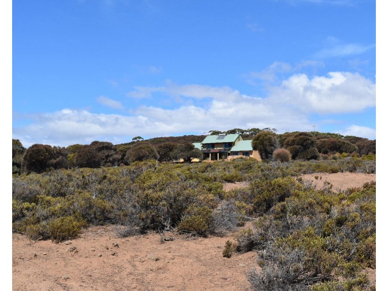 16  Hummocky Road, Cassini SA 5223