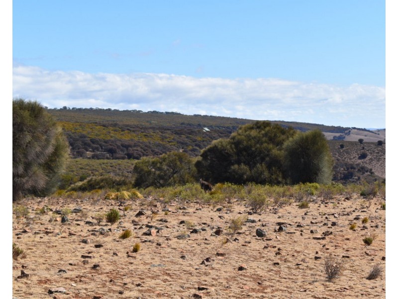 16  Hummocky Road, Cassini SA 5223