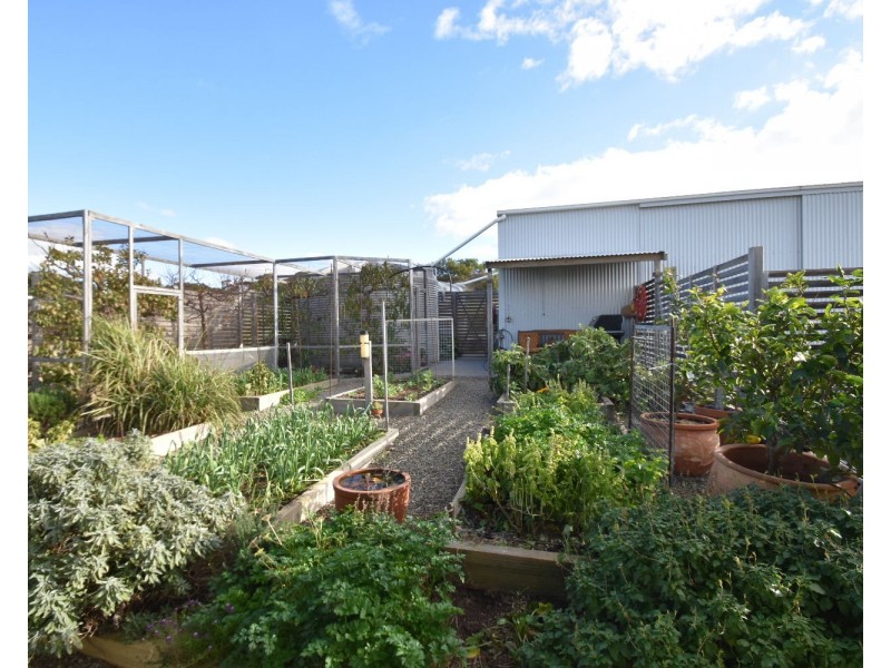 7 Hawthorn Avenue, Emu Bay SA 5223