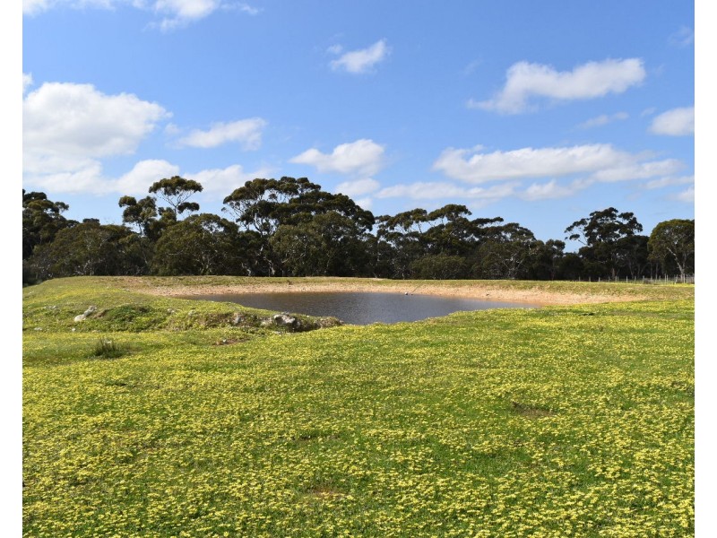 Lot 6 Bark Hut Road, Cassini SA 5223