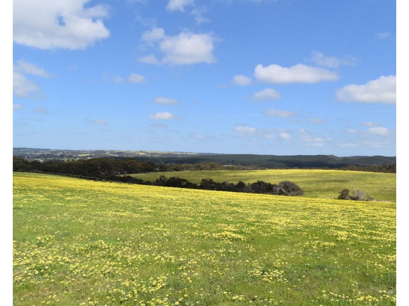 Lot 6 Bark Hut Road, Cassini SA 5223