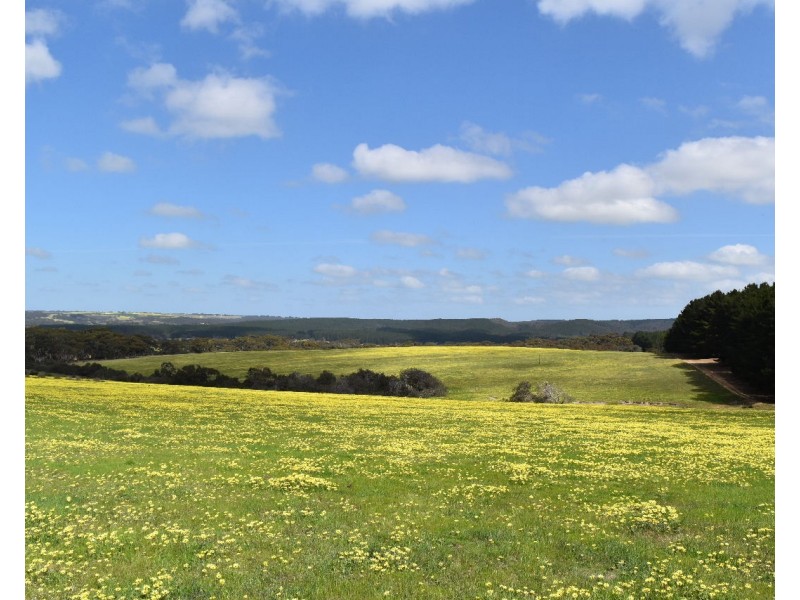 Lot 6 Bark Hut Road, Cassini SA 5223