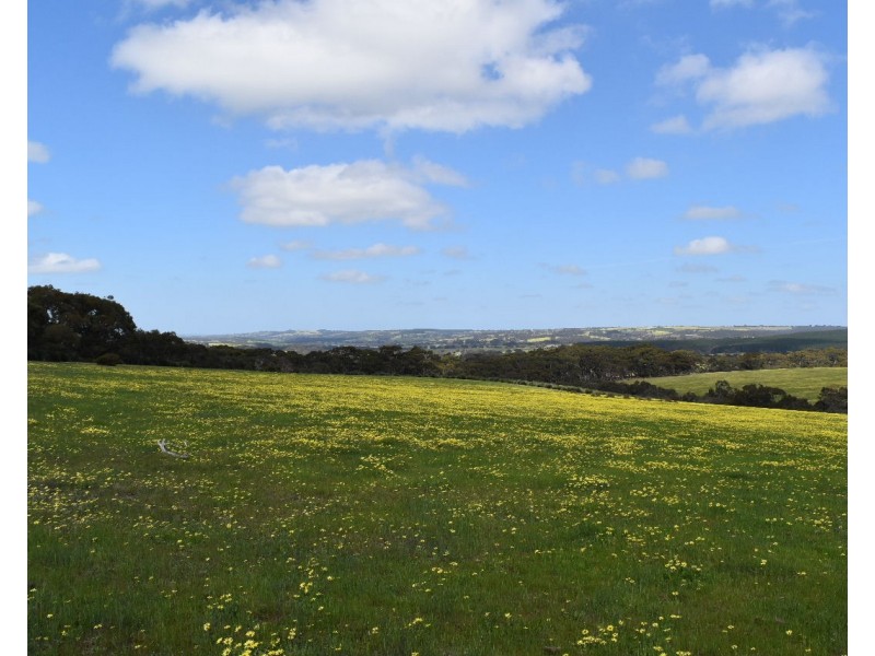 Lot 6 Bark Hut Road, Cassini SA 5223