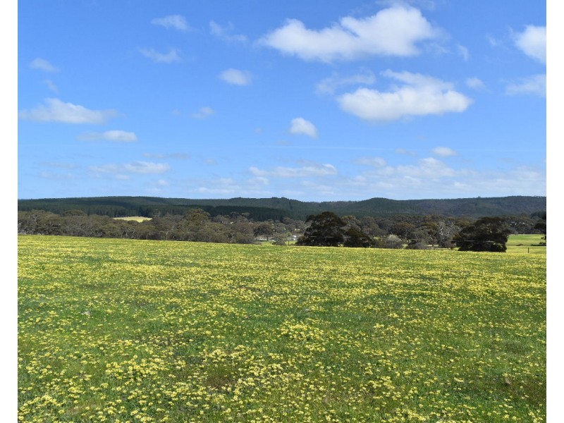 Lot 6 Bark Hut Road, Cassini SA 5223