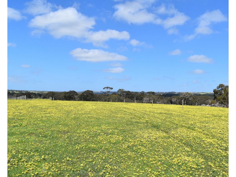 Lot 6 Bark Hut Road, Cassini SA 5223