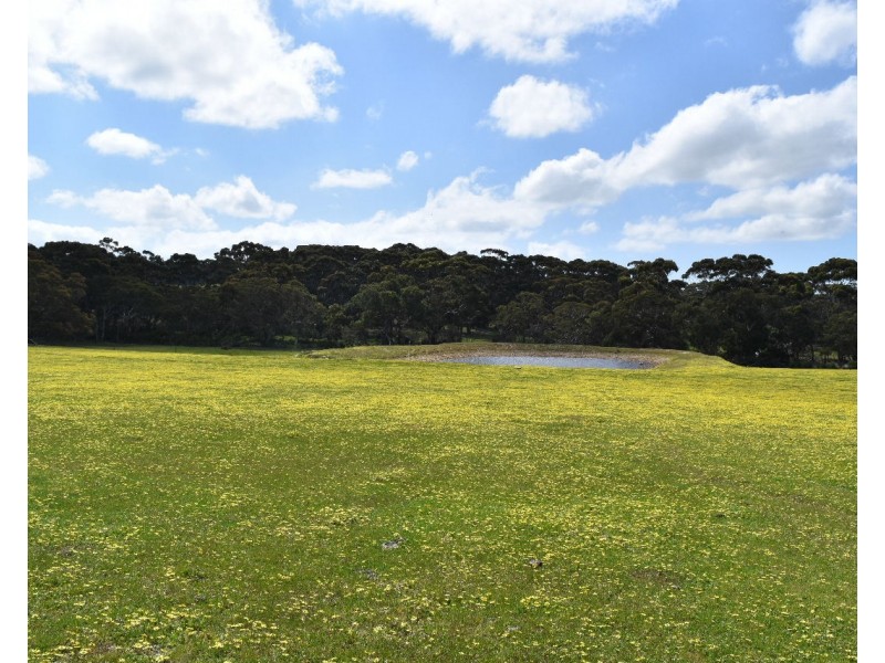 Lot 6 Bark Hut Road, Cassini SA 5223