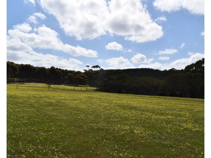 Lot 6 Bark Hut Road, Cassini SA 5223